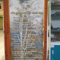 IMG 1ac2d45c3c9565fc5a1424447017f02b V