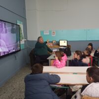 IMG 2c6267578871562b01531e174da8fe57 V